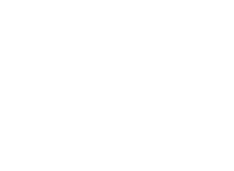SINDIEMG